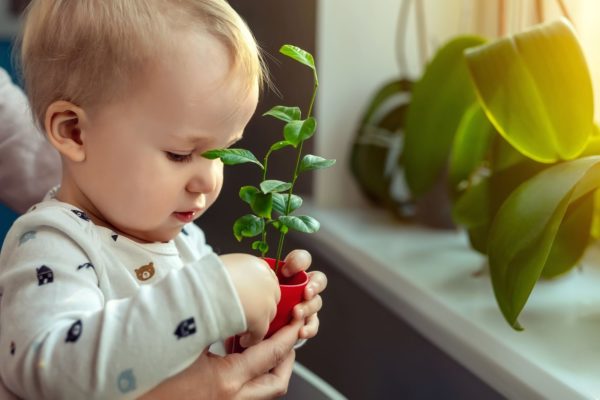 Enfant à la décourverte de la nature